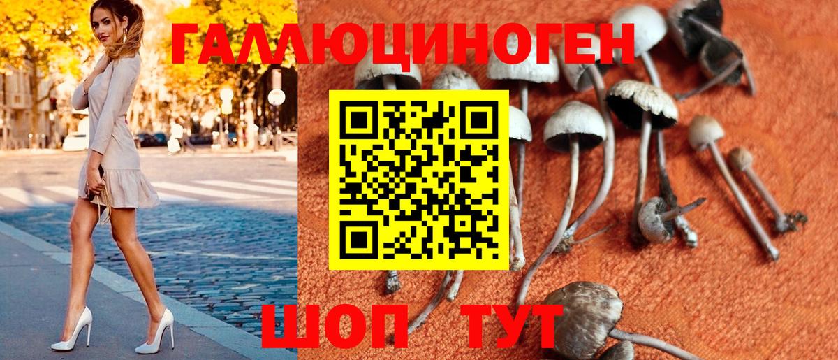 Галлюциногенные грибы Magic Shrooms Черняховск