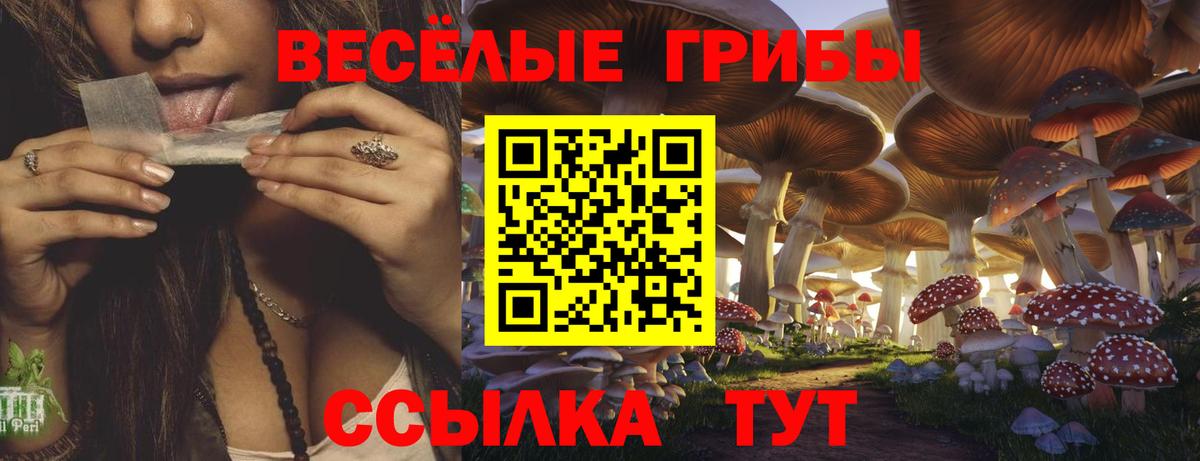 Псилоцибиновые грибы прущие грибы  наркотики  Черняховск  Вход с VPN 